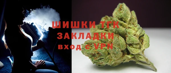 гидра Арсеньев