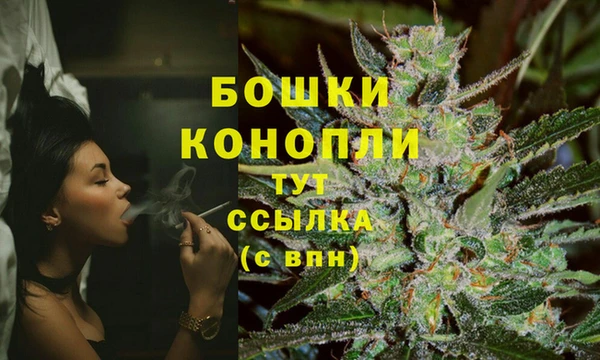 гидра Арсеньев