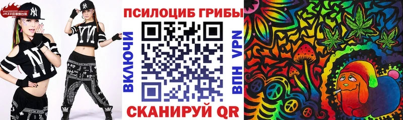 Купить  Сурск  Галлюциногенные грибы MAGIC MUSHROOMS 