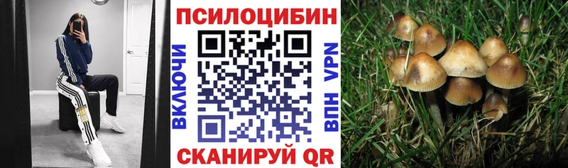 Псилоцибиновые грибы GOLDEN TEACHER Сурск